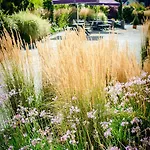 Westgrove Hotell Clane