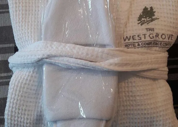 Hotel Westgrove Clane