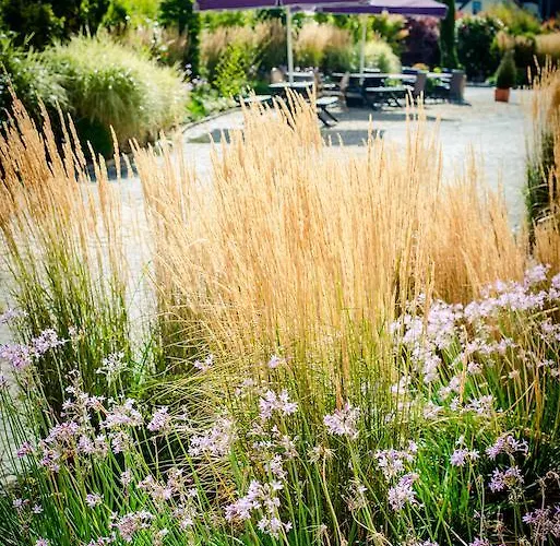 Westgrove Отель Клейн